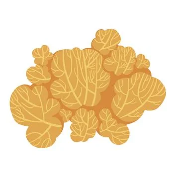 Set of marine vector plants, drawn algae Stock-Illustration