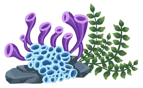 Set of marine vector plants,  drawn algae 스톡 일러스트