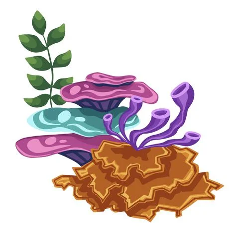 Set of marine vector plants,  drawn algae Stock Illustration