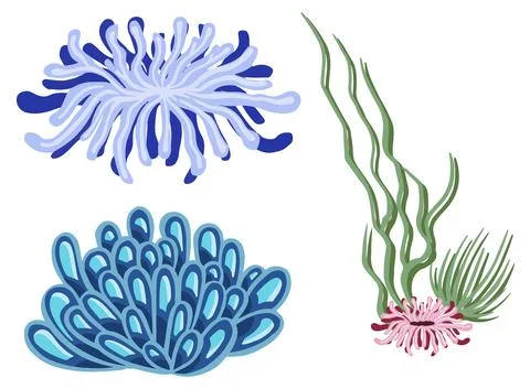 Set of marine vector plants, drawn algae Stock Illustration