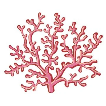 Set of marine vector plants, drawn algae Illustrazione stock