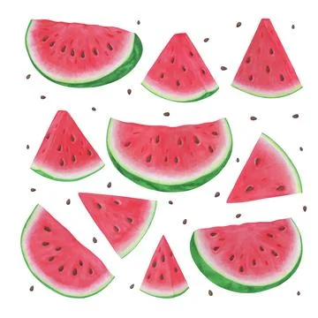 Set of markers hand drawn watermelon slices on white background. Vector ill.. Stock Illustration