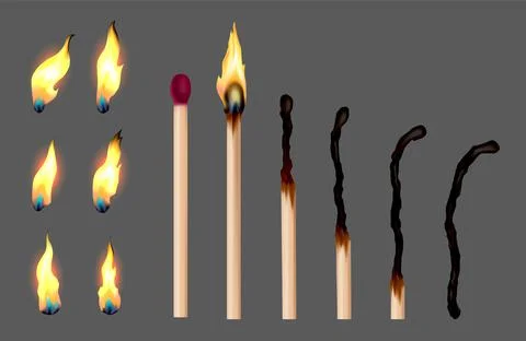 Set of match sticks with burning sequence. Wooden matches in different stages Stock Illustration