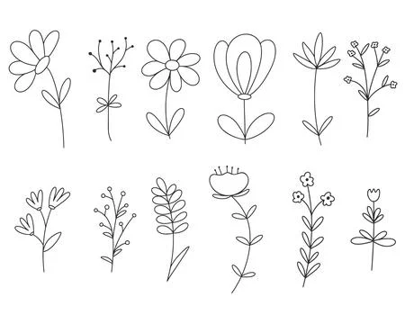 Set meadow field herbs doodle illustration Ilustração Stock