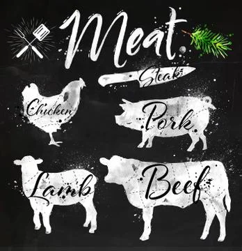 Set meat silhouettes chalk Stock Illustration