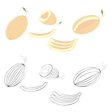 A set of melons Иллюстрация