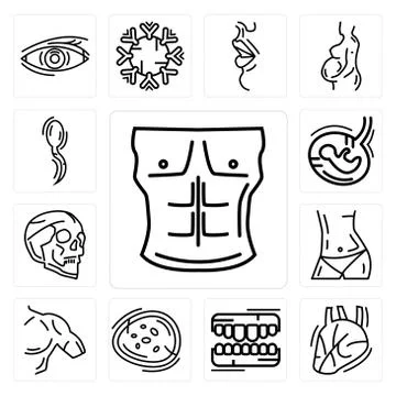 Set of Men Chest, Human Heart, Teeth, Basophil, Shoulder, Abdomen, Skull, Fet Free Stock Illustration