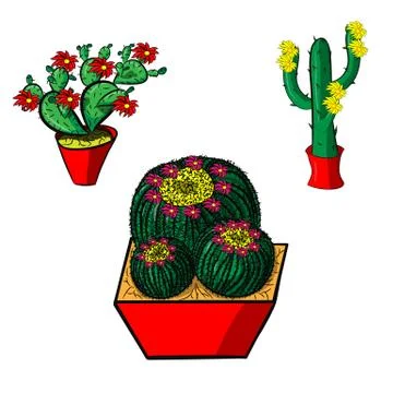 Set of Mexican cacti with flower on a white background Stock Illustration