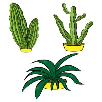 Set of Mexican cacti on a white background Stock Illustration