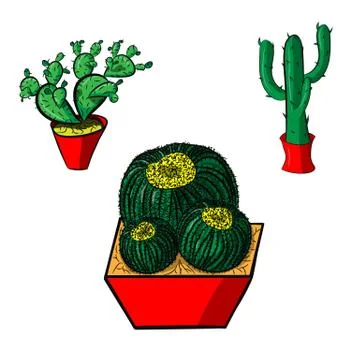 Set of Mexican cacti on a white background Stock Illustration