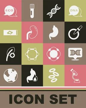 Set Microscope, DNA symbol, Petri dish with pipette, Human kidney, Blood te.. Stock Illustration