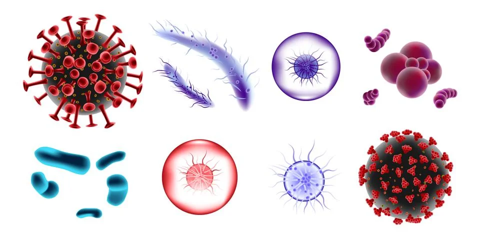Set of microscopic 3d bacteria and viruses. Microbiology vector bacterium and Stock Illustration