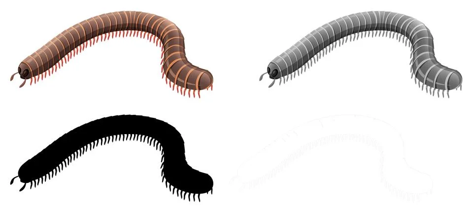 Set of millipede character Stock Illustration