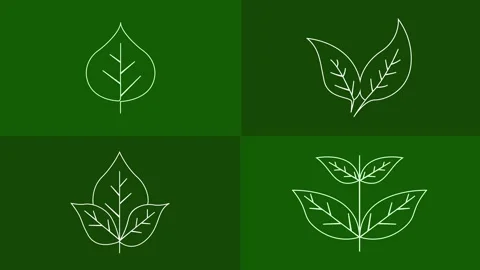 Set of minimal tree leaf one line drawing Stock Footage 285992451
