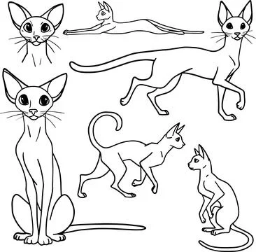 Set Minimalist Cat Line Art Clipart Simple Cartoon Cat Outline for Coloring Page Stock-Illustration