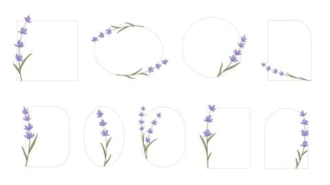 Set of minimalist frames in Provence style イラスト素材