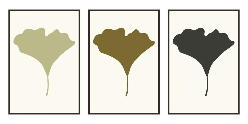 Set of minimalist paintings with botanical elements in frames イラスト素材