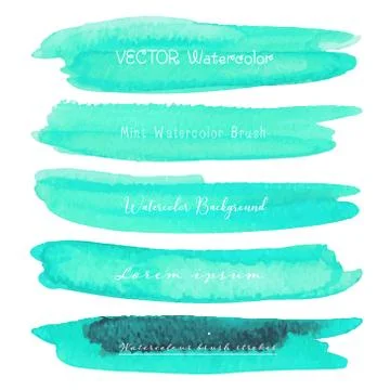 Set of mint watercolor on white background, Brush stroke watercolor, Vector i Stock Illustration