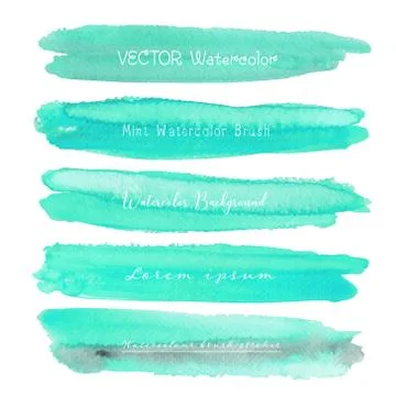 Set of mint watercolor on white background, Brush stroke watercolor, Vector i Illustrazione stock
