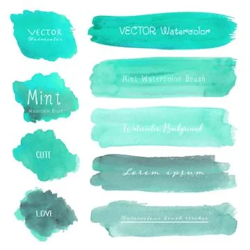 Set of mint watercolor on white background, Brush stroke watercolor, Vector i Stock Illustration