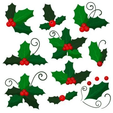 Set mistletoe branch isolated on white background. Stock Illustration