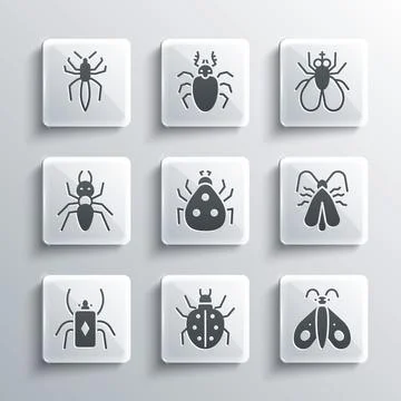 Set Mite, Butterfly, Clothes moth, Ladybug, Beetle, Ant, Spider and Insect .. Stock Illustration