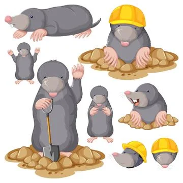 Set of mole cartoon character with head and facial expression Stock Illustration