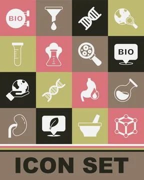 Set Molecule, Test tube and flask, Bio healthy food, DNA symbol, Chemical Stock Illustration