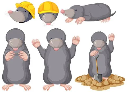 Set of moles cartoon character Stock Illustration