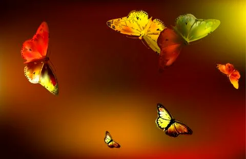 Set Monarch Butterfly with open wings Illustrazione stock