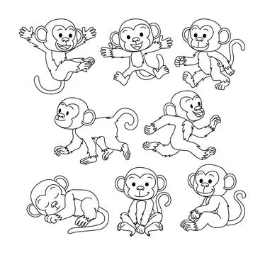 Set of monkey doodle collection, monkey outline coloring page or book anima.. Stock Illustration