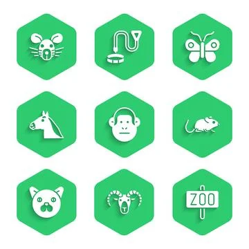 Set Monkey, Head of goat or ram, Zoo park, Rat, Cat, Horse head, Butterfly and Ilustração Stock