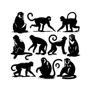 Set of monkey silhouettes Stock Illustration