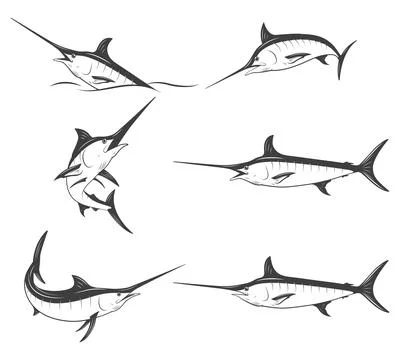 Set of monochrome vector marlins Illustrazione stock
