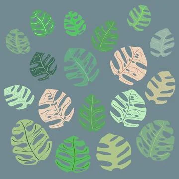 Set monstera leaves of different colors Stock Illustration