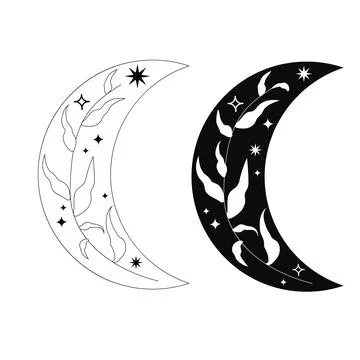 Set moon boho, celestial decorated with leaves and sparks, stars black and white Illustrazione stock