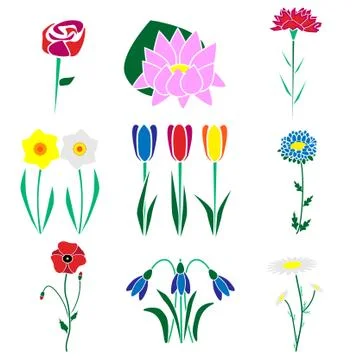 Set of the most common flowers. Stock Illustration