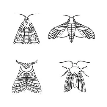 Set of moths in boho styles. Geometric tribal outline illustration. Stock Illustration