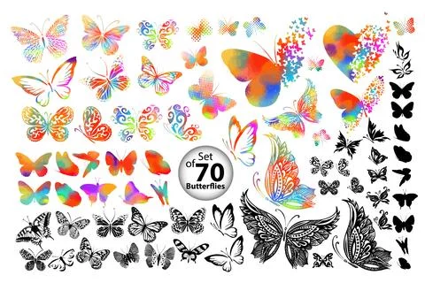 Set of multi-colored butterflies. Monochrome graceful butterflies. Vector ill Stock Illustration