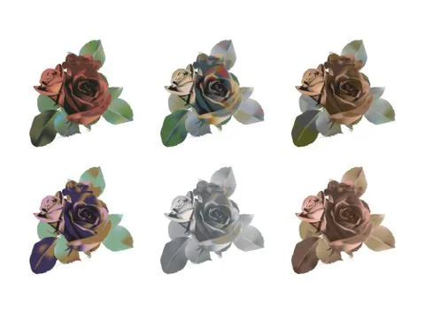 Set of multi-colored roses with three flowers Stock Illustration