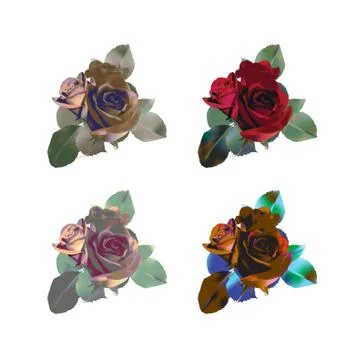 Set of multi-colored roses with three flowers Stock Illustration
