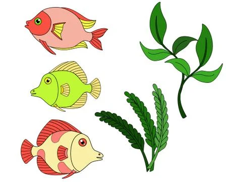 Set of multi-colored tropical aquarium fish and plants for the aquarium. Stock Illustration