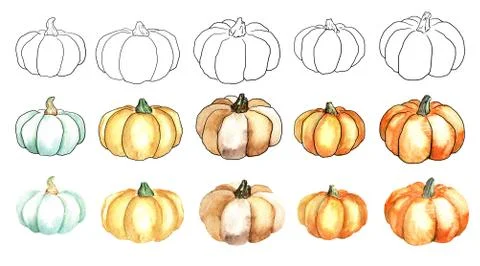 A set of multi-colored watercolor Pumpkins with an outline. Autumn harvest Stock Illustration