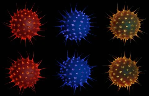 Set of  multicolor Abstract bacteria or virus cell in spherical shape with lo Stock Illustration