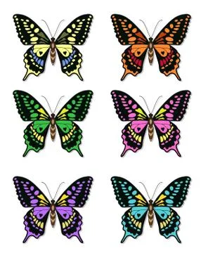 Set of multicolored butterflies on a white background, a collection of butt.. Stock Illustration
