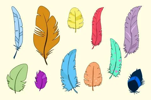 Set of multicolored cartoon feathers. Feathers of tropical birds. 库存插图