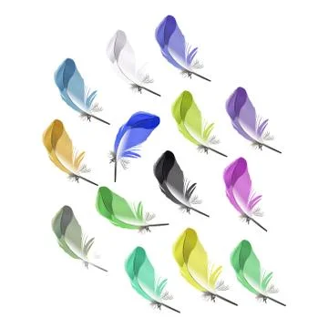 Set of multicolored feathers on white Stock Illustration