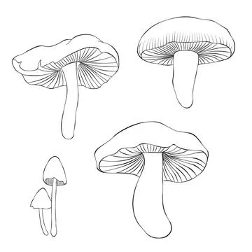 Set mushroom isolated on a white background. Vector illustration Stock Illustration