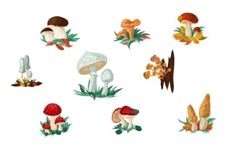 Set of mushrooms and toadstools vector illustration in flat cartoon style Illustrazione stock