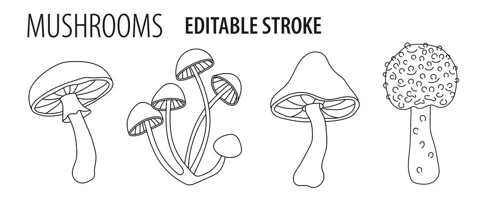 Set of mushrooms with editable stroke. Stock Illustration